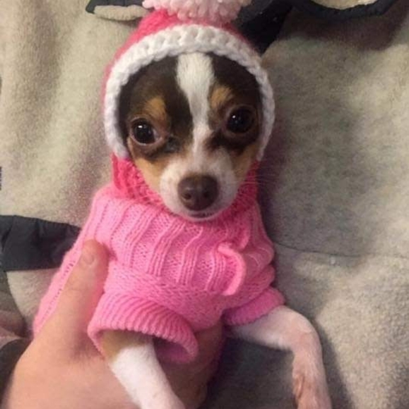 Meet your Posher, Melonie - Picture 1 of 1